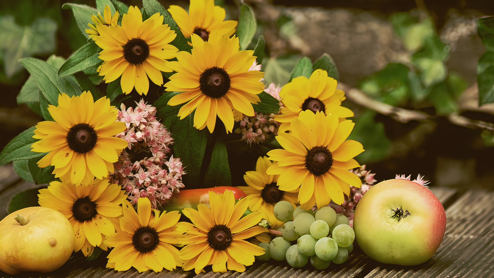 late-summer-canva sunflowers and late summer fruit